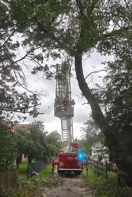Uprzątnięcie wywróconych drzew na drogach w Głęboczu Wielkim i Szumowie