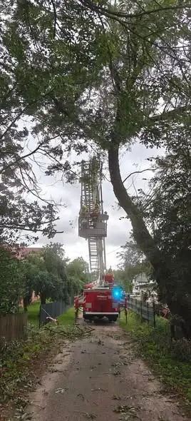 Uprzątnięcie wywróconych drzew na drogach w Głęboczu Wielkim i Szumowie