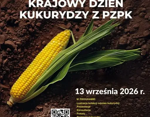 Krajowy Dzień Kukurydzy w Szepietowie – zaproszenie dla rolników z gminy Szumowo
